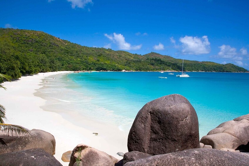 Picture 4 for Activity From Mahé: Praslin & La Digue Island-Hopping Tour with Lunch