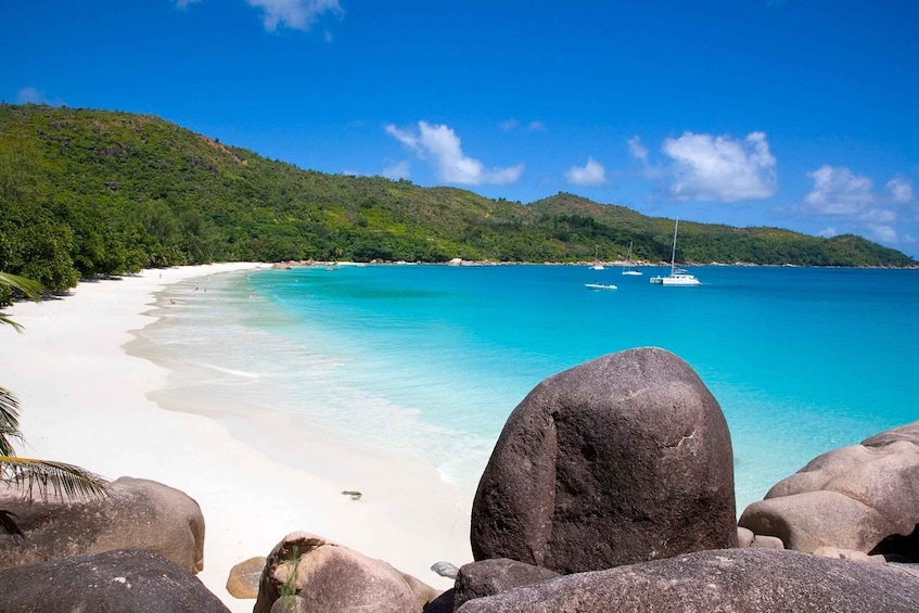 Picture 4 for Activity From Mahé: Praslin & La Digue Island-Hopping Tour with Lunch