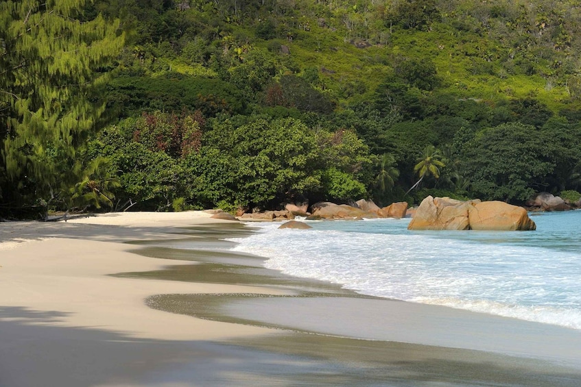 Picture 7 for Activity From Mahé: Praslin & La Digue Island-Hopping Tour with Lunch