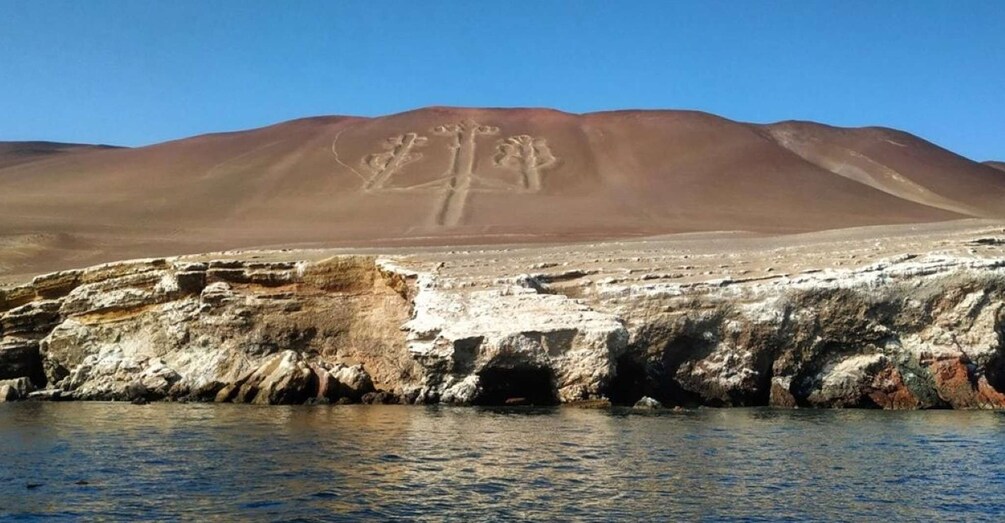 Picture 4 for Activity From Paracas: Ballestas Islands Guided Tour