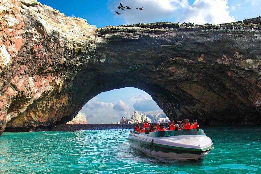 Picture 8 for Activity From Paracas: Ballestas Islands Guided Tour