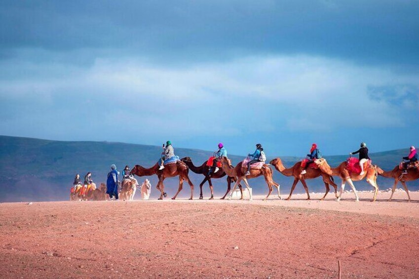 Agafay Desert: Dinner + Show with Quad Bike & Sunset Camel Ride
