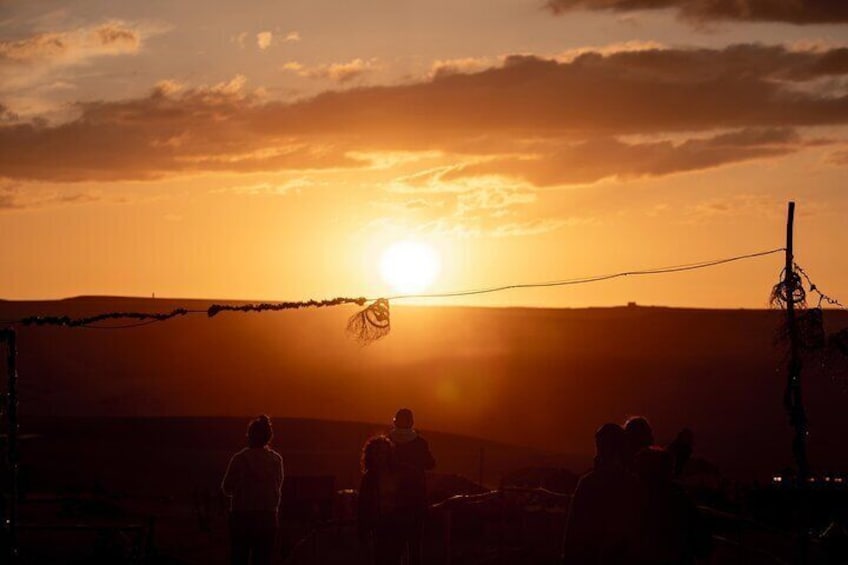 Dinner show Quad bike in Agafy Desert Camel ride at sunset 