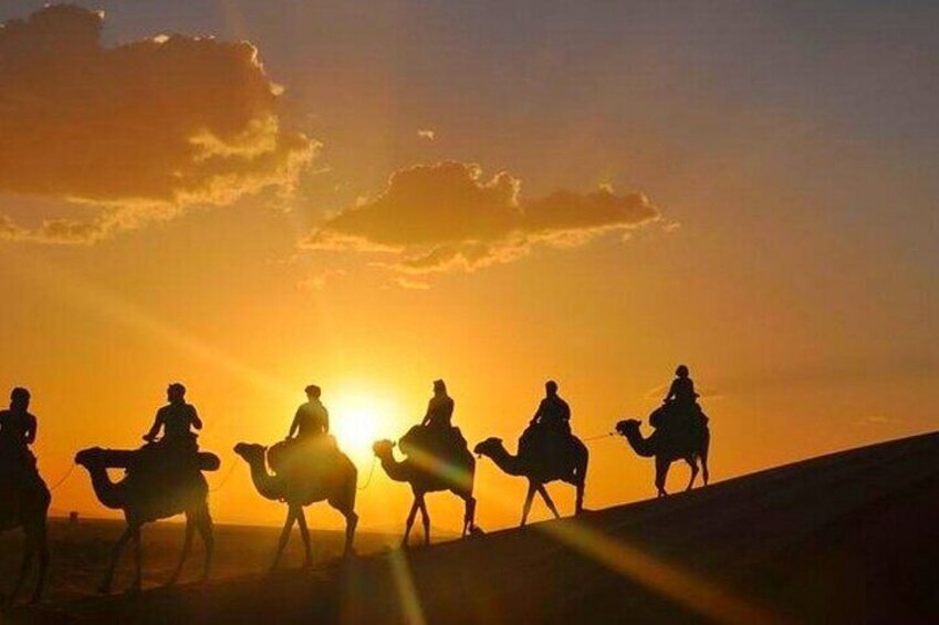 Dinner show Quad bike in Agafy Desert Camel ride at sunset 