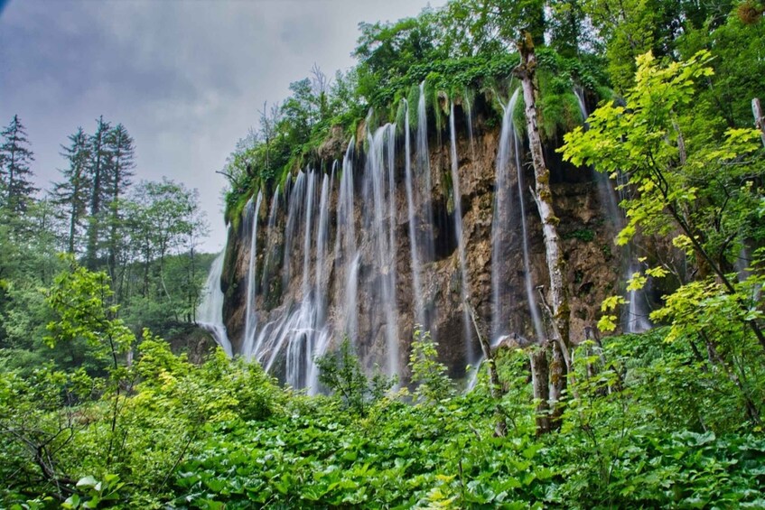 Picture 3 for Activity Plitvice Lakes: National Park Official Entry Ticket