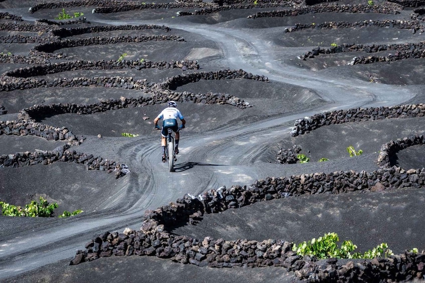 Picture 3 for Activity Lanzarote: Guided Mountain Bike Tour