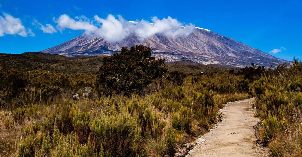 Picture 1 for Activity 8 days Mount Kilimanjaro Climbing Through Lemosho route