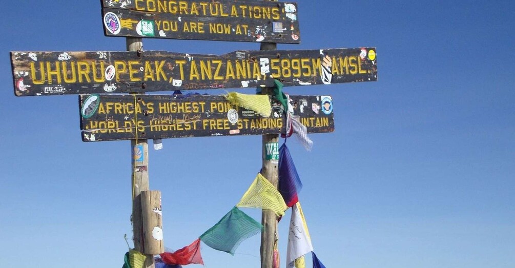 Picture 6 for Activity 8 days Mount Kilimanjaro Climbing Through Lemosho route