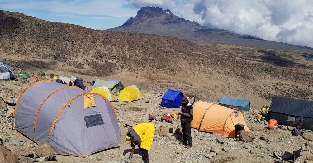 Picture 3 for Activity 8 days Mount Kilimanjaro Climbing Through Lemosho route