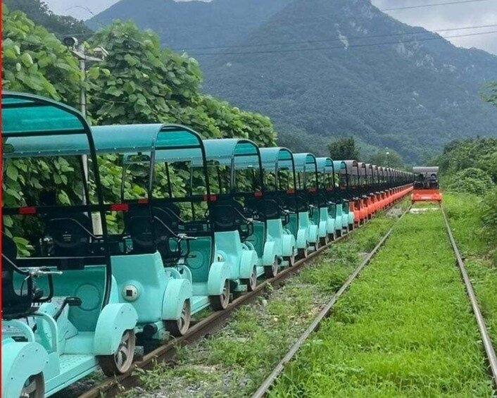 Picture 19 for Activity From Seoul: Alpaca Farm with Rail bike/ Luge Racing