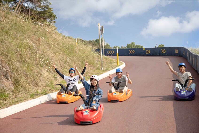 Picture 5 for Activity From Seoul: Alpaca Farm with Rail bike/ Luge Racing