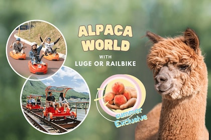 Van Seoul: Alpaca boerderij met railbike/rodelbaan