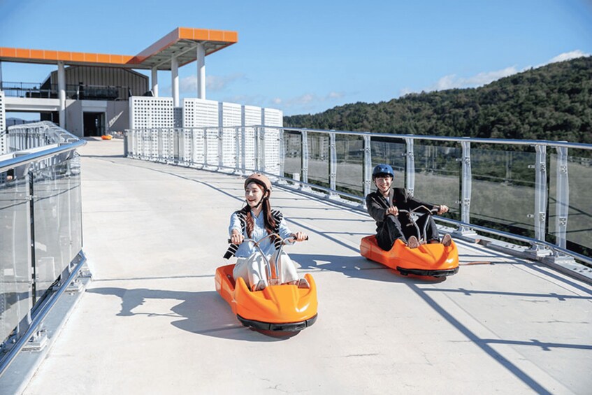 Picture 14 for Activity From Seoul: Alpaca Farm with Rail bike/ Luge Racing