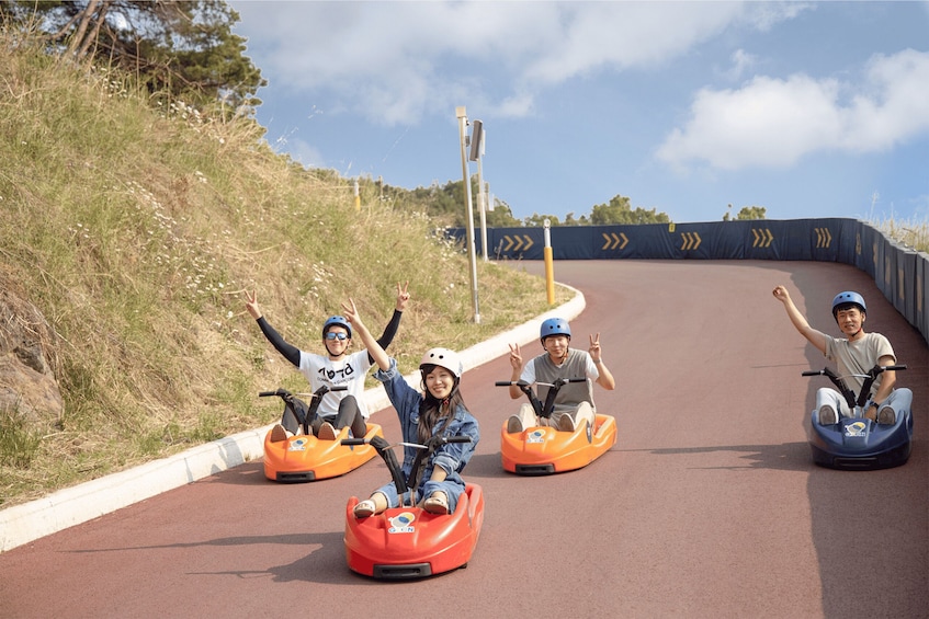 Picture 15 for Activity From Seoul: Alpaca Farm with Rail bike/ Luge Racing