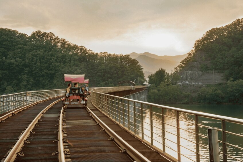 Picture 27 for Activity From Seoul: Alpaca Farm with Rail bike/ Luge Racing