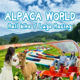 Des de Seül: Granja d'alpaques amb bicicleta de tren/Luge Racing