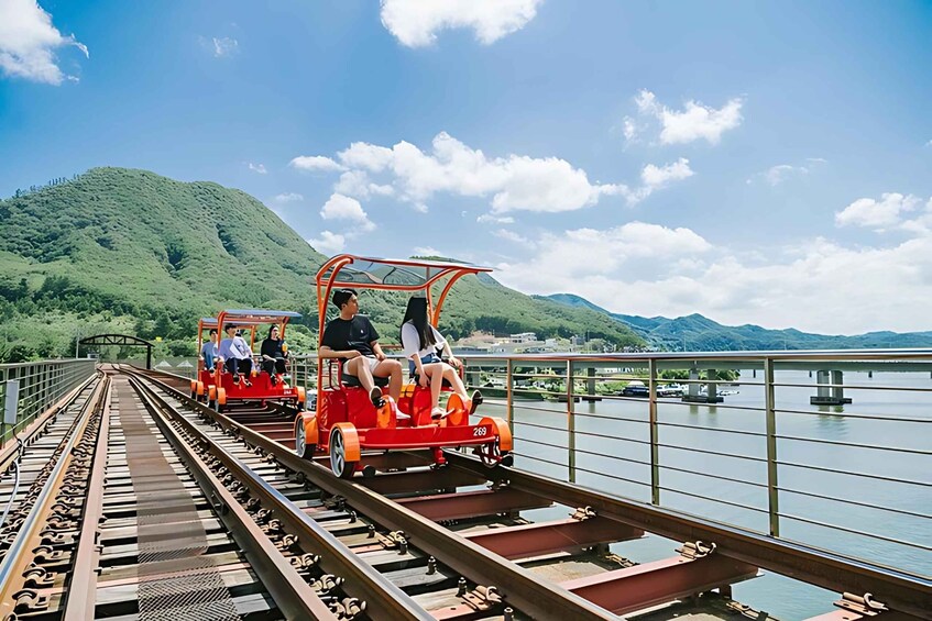 Picture 8 for Activity From Seoul: Alpaca Farm with Rail bike/ Luge Racing