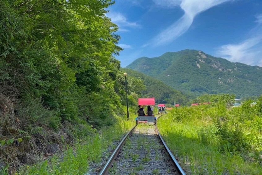 Picture 13 for Activity From Seoul: Alpaca Farm with Rail bike/ Luge Racing