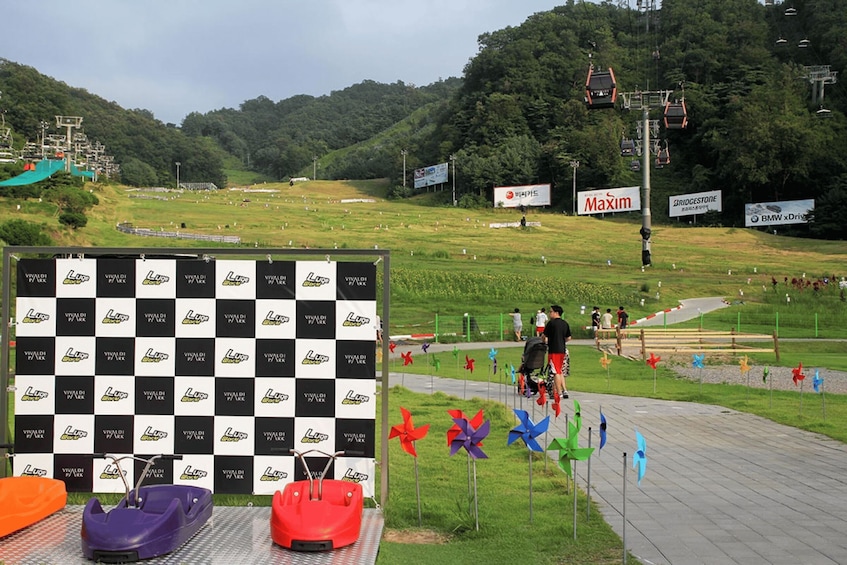 Picture 17 for Activity From Seoul: Alpaca Farm with Rail bike/ Luge Racing