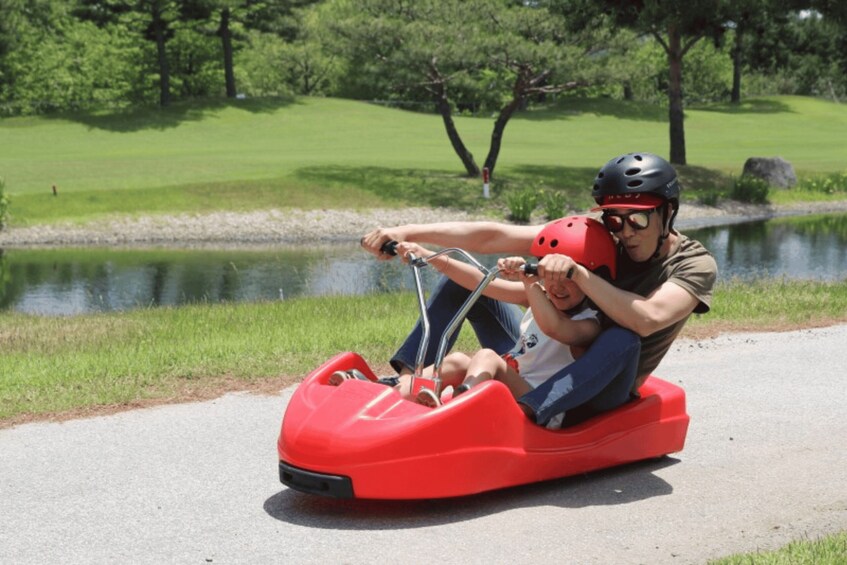 Picture 16 for Activity From Seoul: Alpaca Farm with Rail bike/ Luge Racing