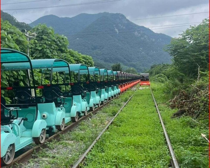 Picture 19 for Activity From Seoul: Alpaca Farm with Rail bike/ Luge Racing