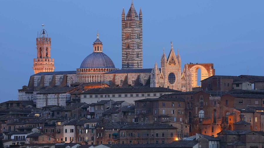 Siena: Siena Cathedral and Piccolomini Library Entry Ticket