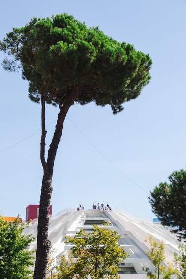 Picture 6 for Activity City and Food Tour of Tirana - meals included