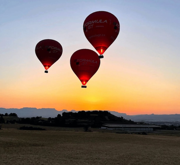 Picture 9 for Activity Barcelona: Private Romantic Balloon Flight