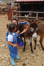 Agüimes : Be a farmer for the day at La Jaira de Ana