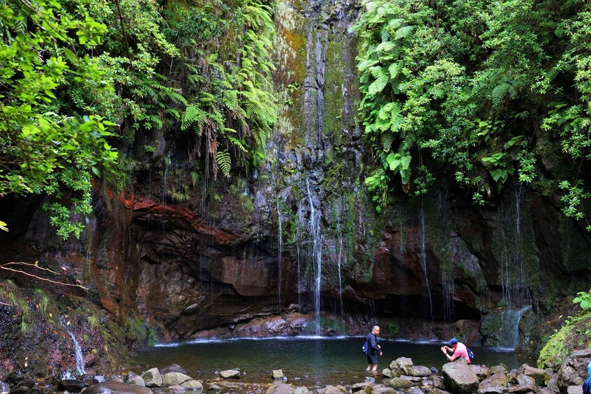 Picture 20 for Activity Discover Madeira's idyllic hikes & beauty on foot & wheels!