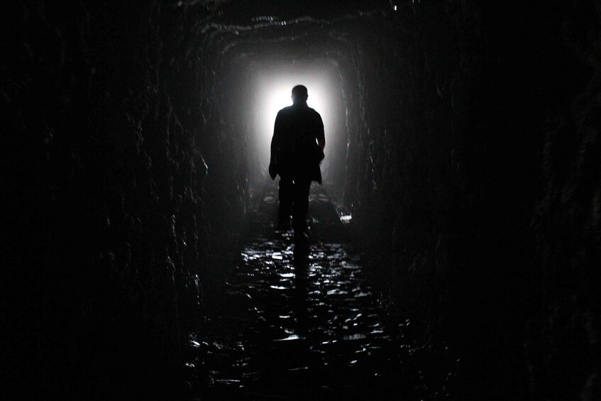 Picture 3 for Activity Discover Madeira's idyllic hikes & beauty on foot & wheels!