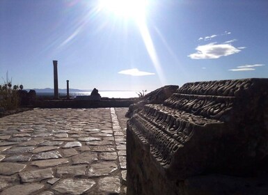 Tunis: Tour of Carthage with Roman Baths & Punic Ramparts