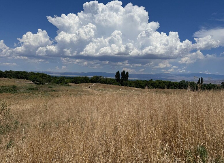 Picture 35 for Activity The Ancient Burana Tower & Kok-Moinok Canyons