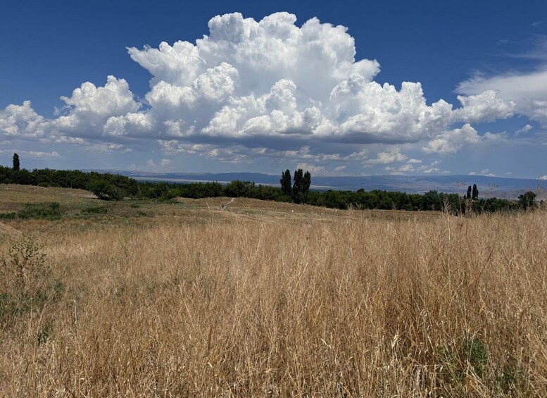 Picture 35 for Activity The Ancient Burana Tower & Kok-Moinok Canyons