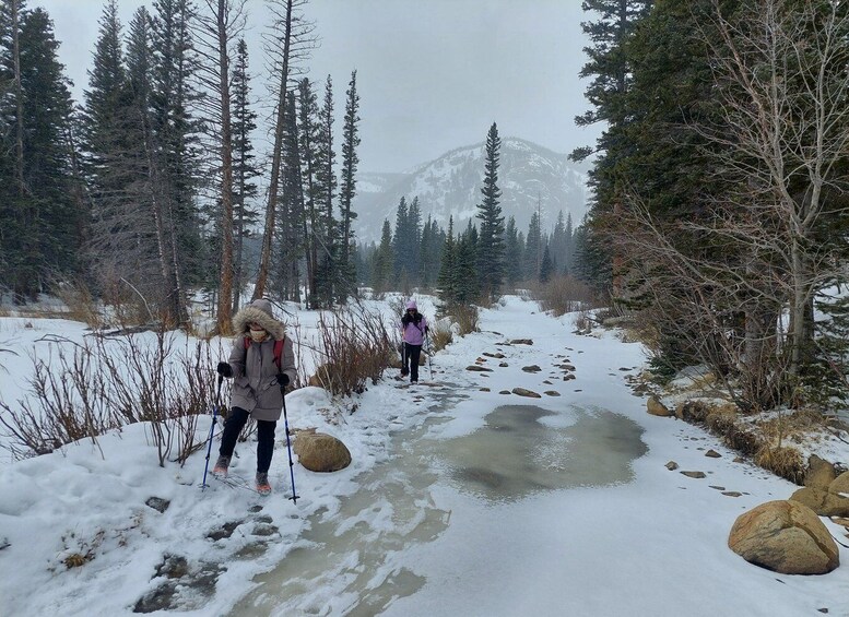 Picture 20 for Activity From Denver: Snowshoeing in Rocky Mountains