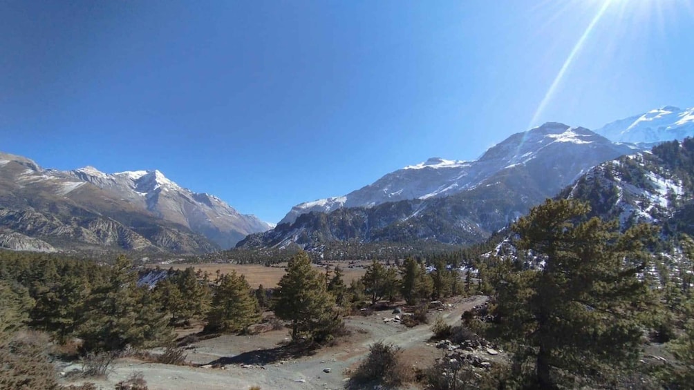 Picture 49 for Activity Kathmandu: 11-Day Annapurna Circuit Guided Trek via Tilicho