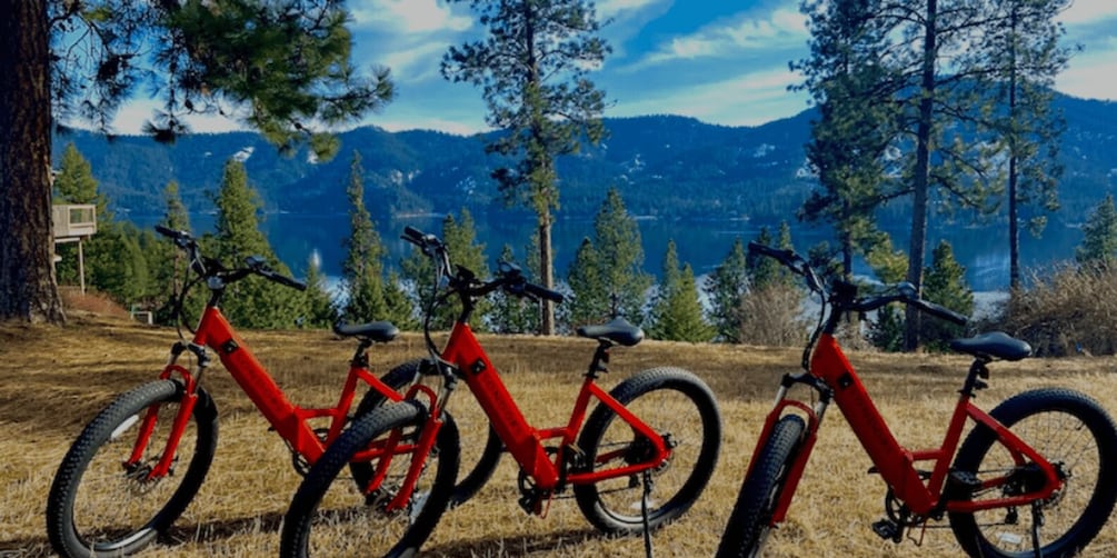Picture 3 for Activity Coeur d’Alene: E-Bike Rental