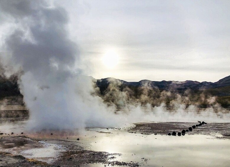 Picture 4 for Activity From San Pedro de Atacama: Geysers del Tatio Half-Day Tour