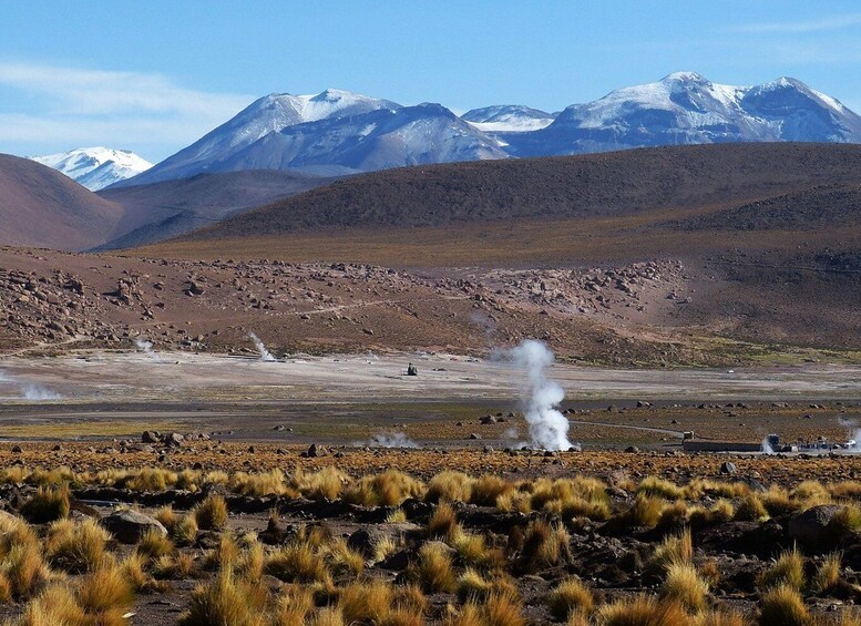 Picture 8 for Activity From San Pedro de Atacama: Geysers del Tatio Half-Day Tour