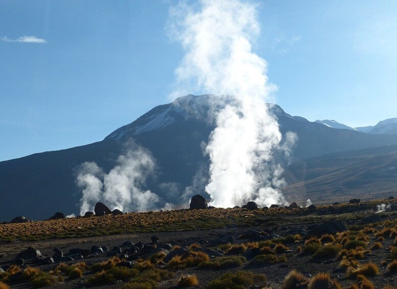 Picture 7 for Activity From San Pedro de Atacama: Geysers del Tatio Half-Day Tour