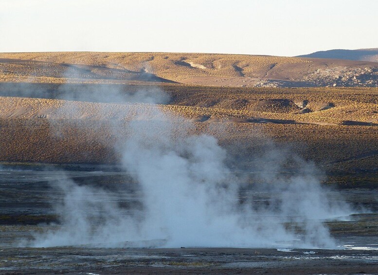 Picture 6 for Activity From San Pedro de Atacama: Geysers del Tatio Half-Day Tour