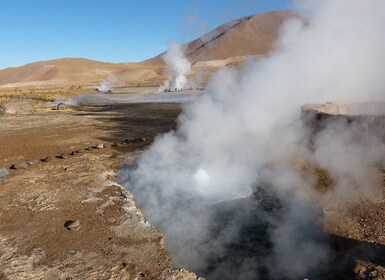 Desde San Pedro de Atacama: Excursión de Medio Día a los Géiseres del Tatio