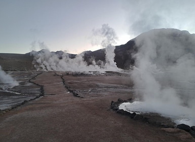 From San Pedro de Atacama: Geysers del Tatio Half-Day Tour