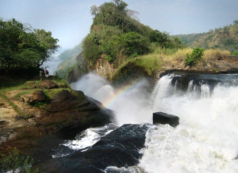 Picture 1 for Activity Uganda: 4 Day Wildlife Safari in Murchison Falls Park