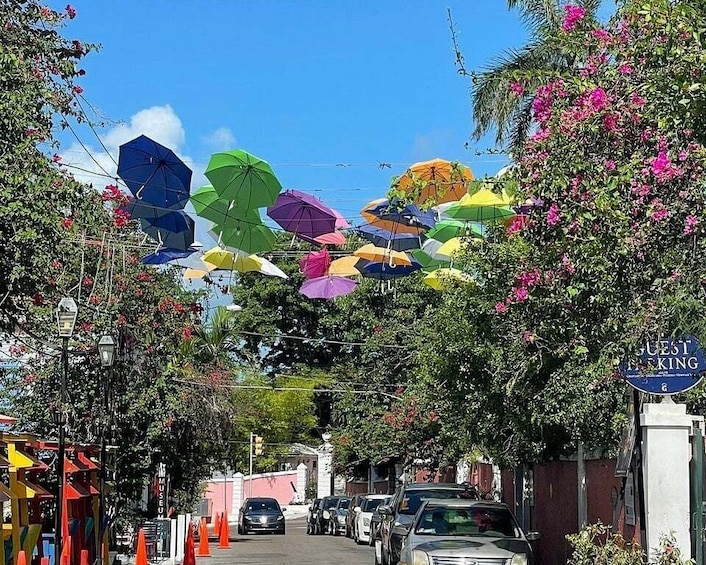 Picture 1 for Activity Nassau: City Highlights Private Pedicab Tour