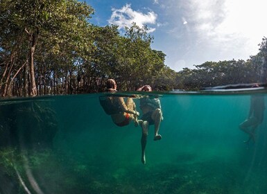 Holbox: Yalahau, Passion Island and Punta Mosquito Boat Tour