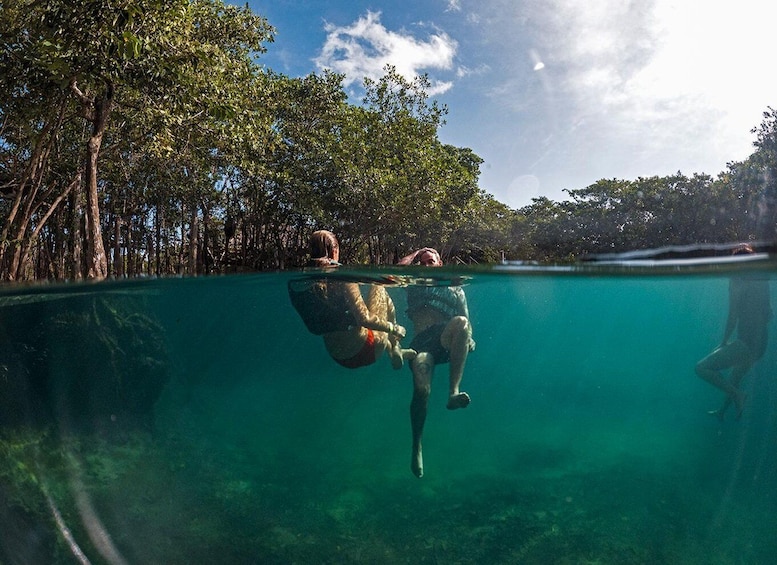 Holbox: Yalahau, Passion Island and Punta Mosquito Boat Tour