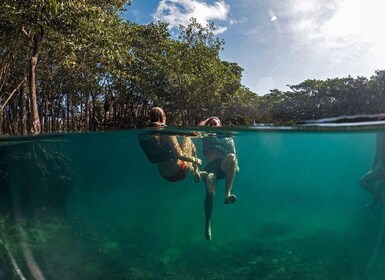 Holbox: Yalahau, Passion Island and Punta Mosquito Boat Tour