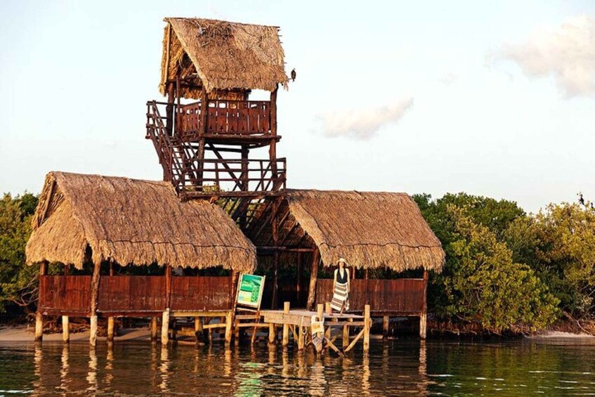 Picture 6 for Activity Holbox: Yalahau, Passion Island and Punta Mosquito Boat Tour