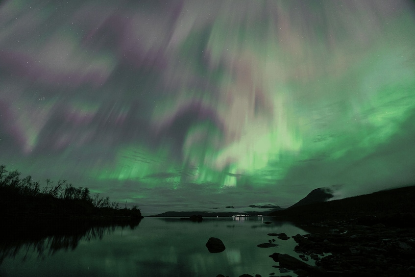 Picture 5 for Activity Abisko: Guided Autumn Aurora Chase with Hotel Transfers